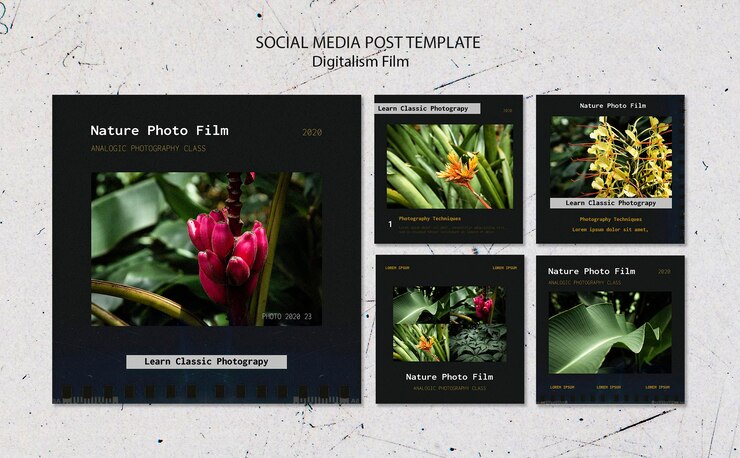 Free PSD nature photo film social media post template