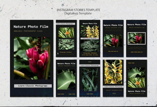 Storie di instagram del modello di pellicola fotografica della natura