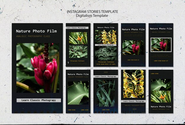 nature photo film template instagram stories
