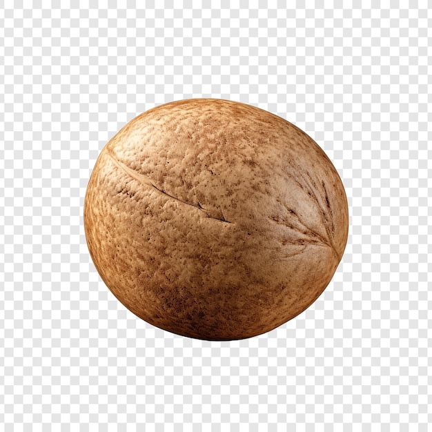 Nutmeg isolated on transparent background