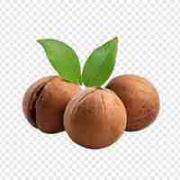 Free PSD nutmeg isolated on transparent background