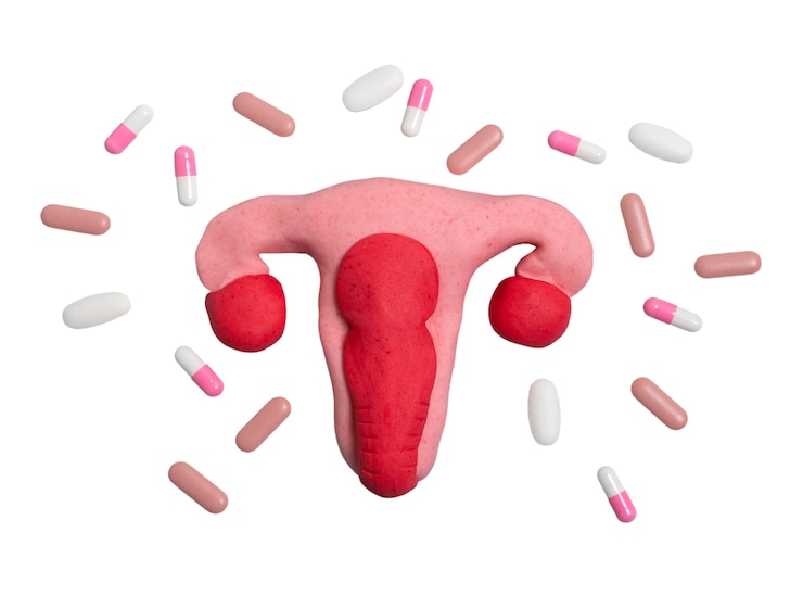 Free PSD ovaries and uterus shape isolated