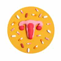 Free PSD ovaries and uterus shape isolated