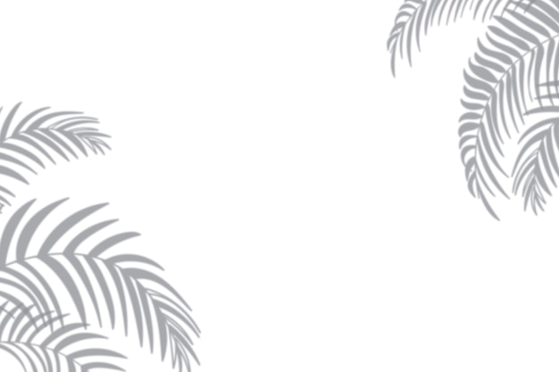 Palm tree shadows border isolated