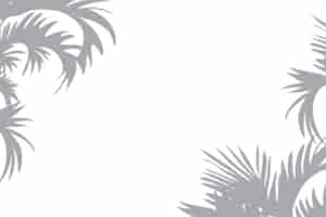 Free PSD palm tree shadows border isolated