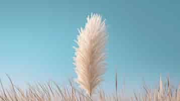 Free PSD pampas grass minimalist background generative ai