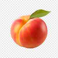 Free PSD peach fruit isolated on transparent background