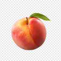 Free PSD peach fruit isolated on transparent background