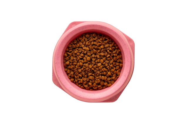 pet accessory isolated