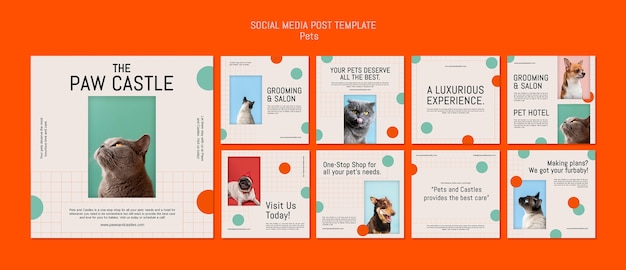 Pets template design of instagram post