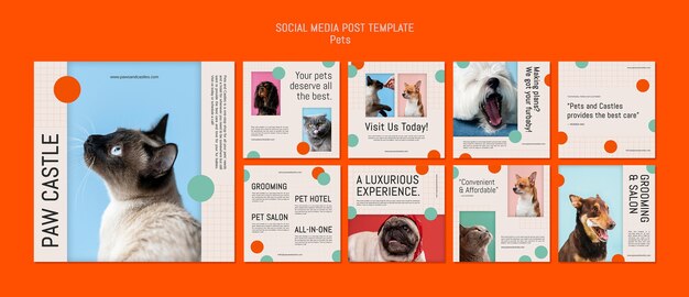 Pets template design of instagram post