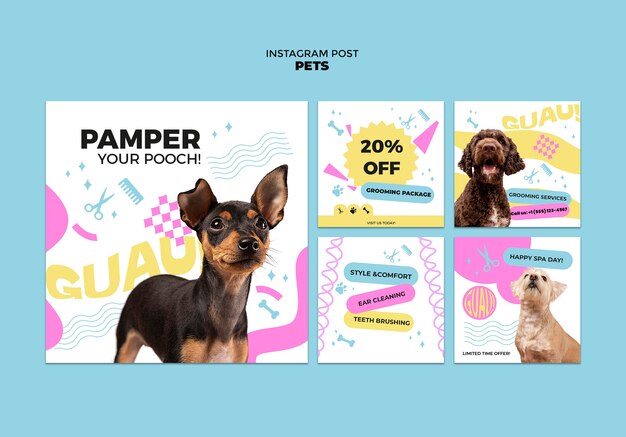 Pets template design