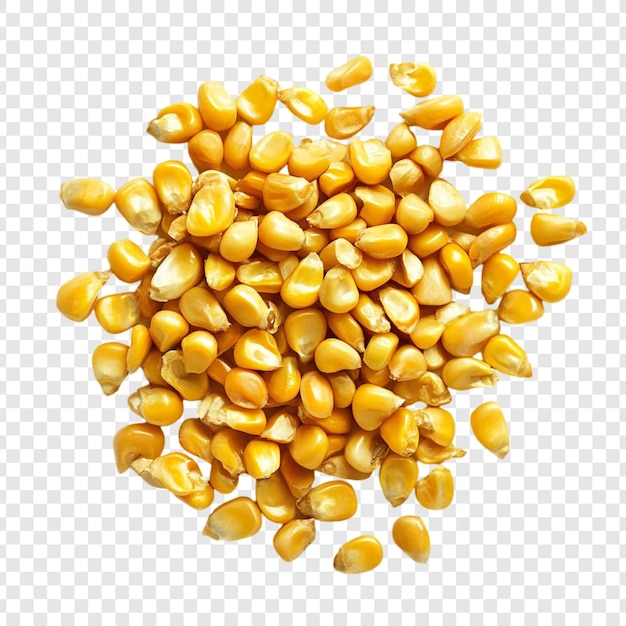 黄金 の 玉米 の 粒 の 積み重ね