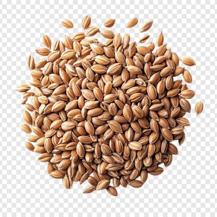 Free PSD a pile of spelt grains