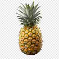 Free PSD pineapple fruit isolated on transparent background