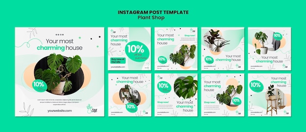 Free PSD plant care instagram posts template