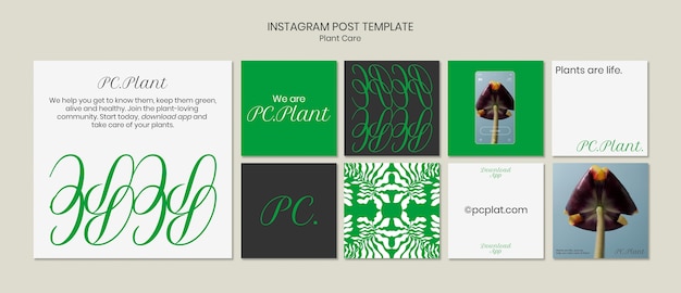 Plant care template design