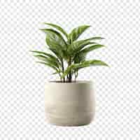 Free PSD plant pot flower isolated on transparent background