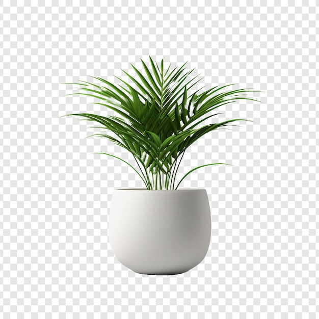 Free PSD plant pot flower isolated on transparent background