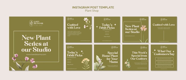 Free PSD plant shop instagram posts template