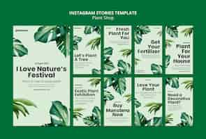 Free PSD plant shop  instagram stories template