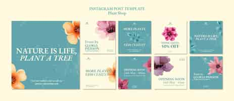 Free PSD plant shop template design