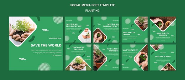 Plant trees for better air social media post