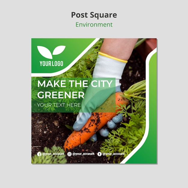 PSD gratuito piantare carote organiche post modello quadrato