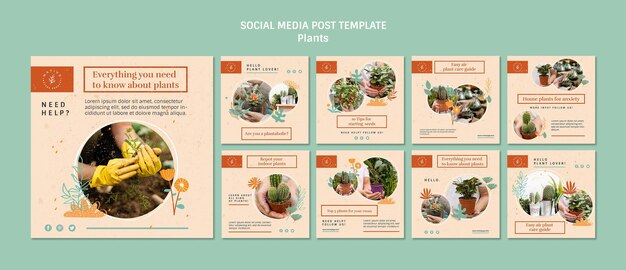 Plants social media post template