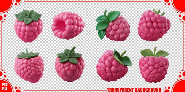 Playful Pink Raspberry Fruit Collection