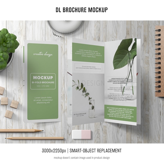 Free PSD portrait dl brochure mockup