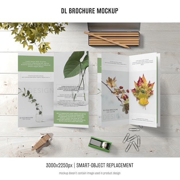 Free PSD portrait dl brochure mockup