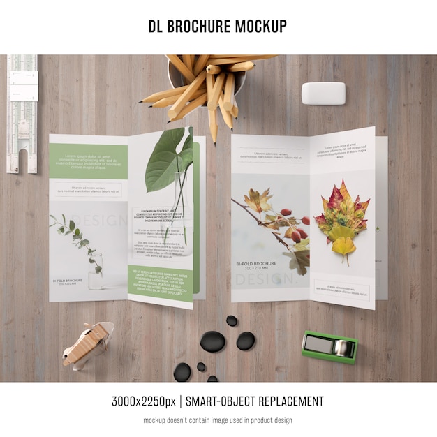 PSD gratuito ritratto dl brochure mockup