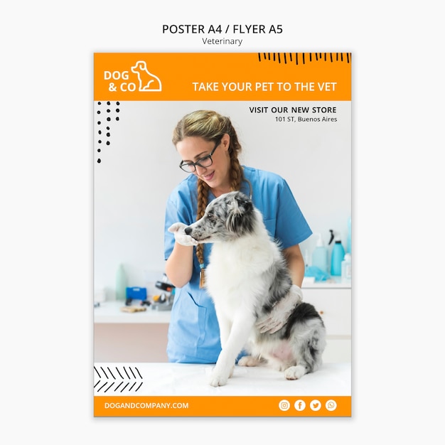 Poster template with veterinary concept