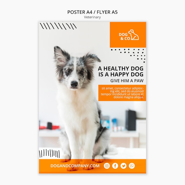 PSD gratuito poster con concetto veterinario