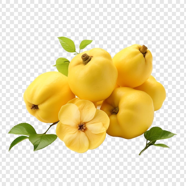 Quinces isolated on transparent background