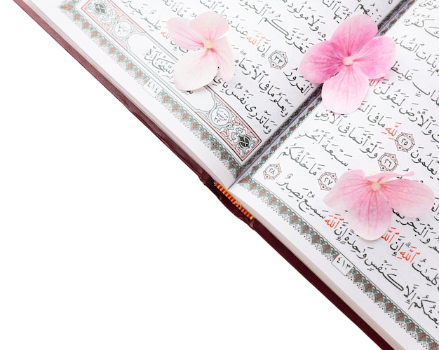 Free PSD quran book isolated