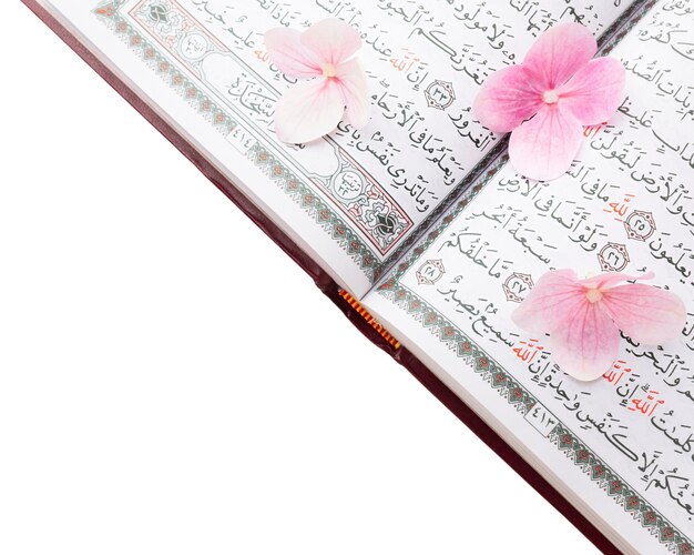 quran book isolated