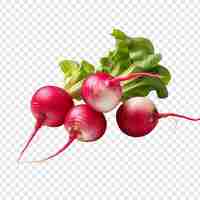 Free PSD radishes isolated on transparent background