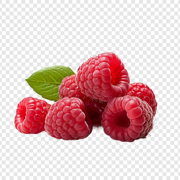 Raspberries isolated on transparent background