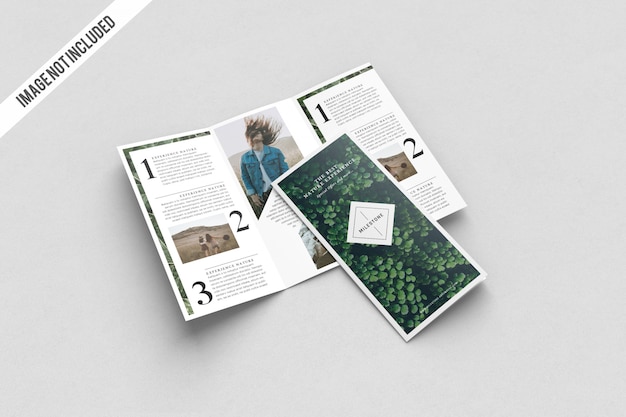 Realistic a4 trifold mockup