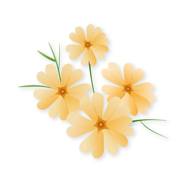 Free PSD realistic flower element isolated