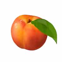 Free PSD realistic fresh peach background