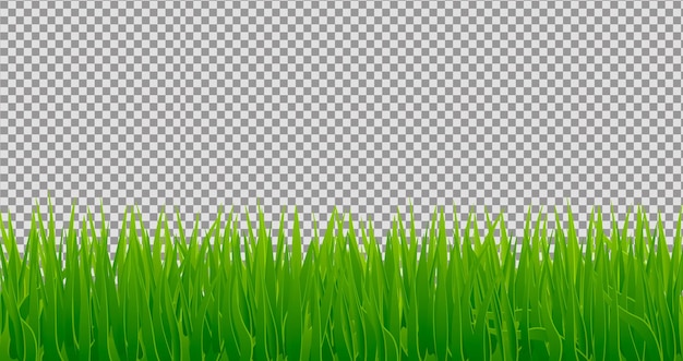 Realistic grass background with gradients on transparent background