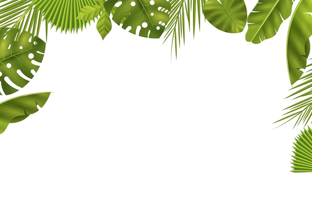 Free PSD realistic leaves on white background