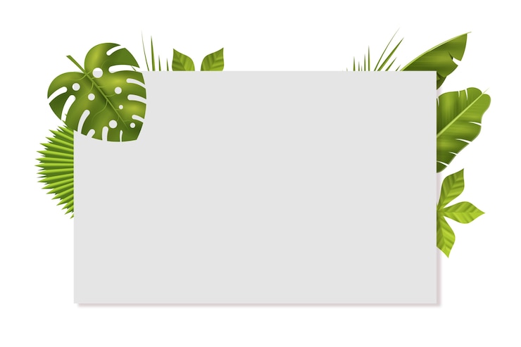 Free PSD realistic leaves on white background