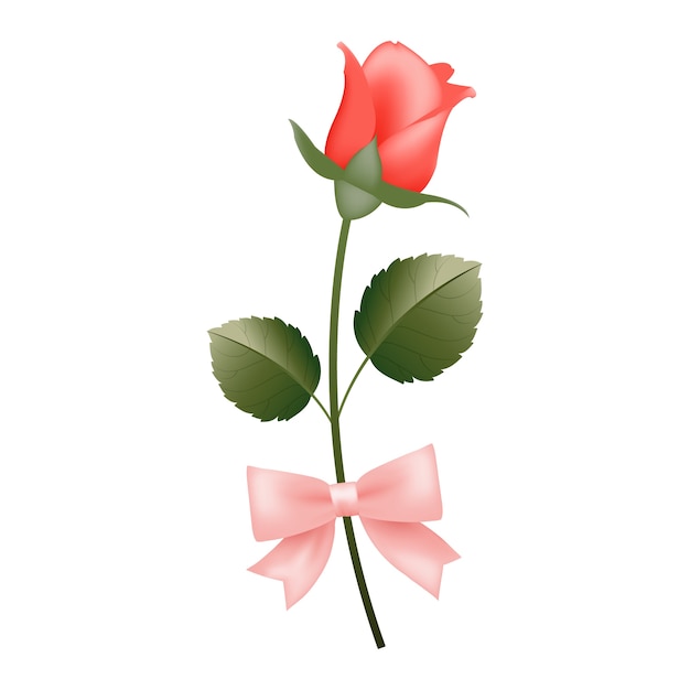 Realistic love rose with ribbon