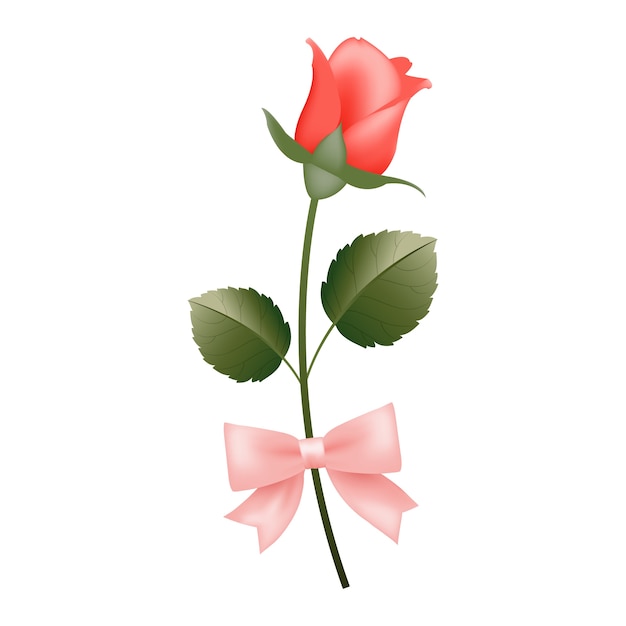 Free PSD realistic love rose with ribbon