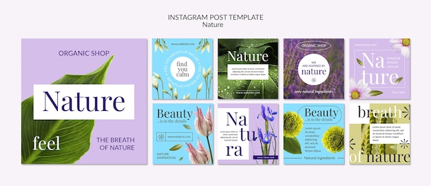 PSD gratuito modello di post di instagram di natura realistica