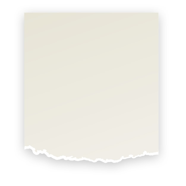 realistic paper rips design